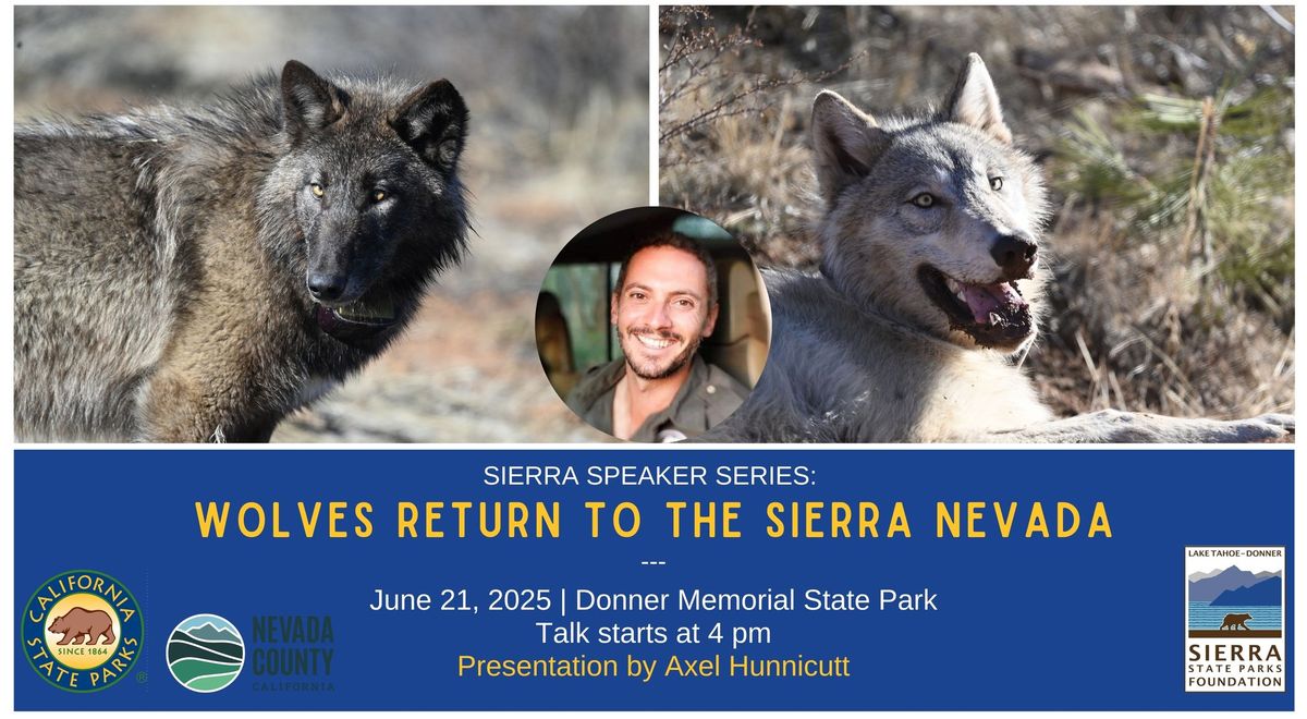 Sierra Speaker Series: Wolves Return to the Sierra Nevada