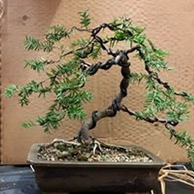 Maryland Bonsai Association