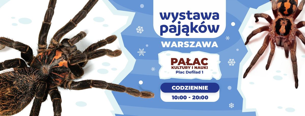 \ud83d\udd77\ufe0f Wystawa Paj\u0105k\u00f3w w Warszawie! \ud83d\udd78\ufe0f\ud83c\udfe2 CODZIENNIE od 10:00 do 20:00