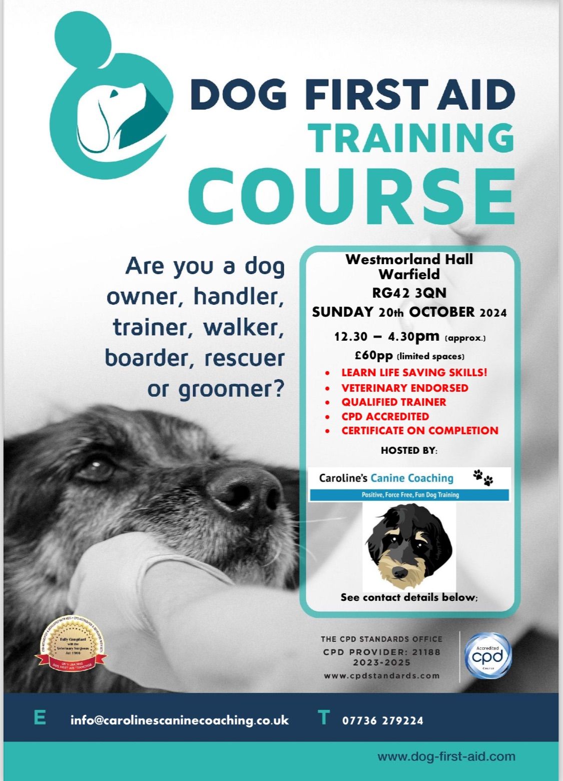 Dog First Aid course