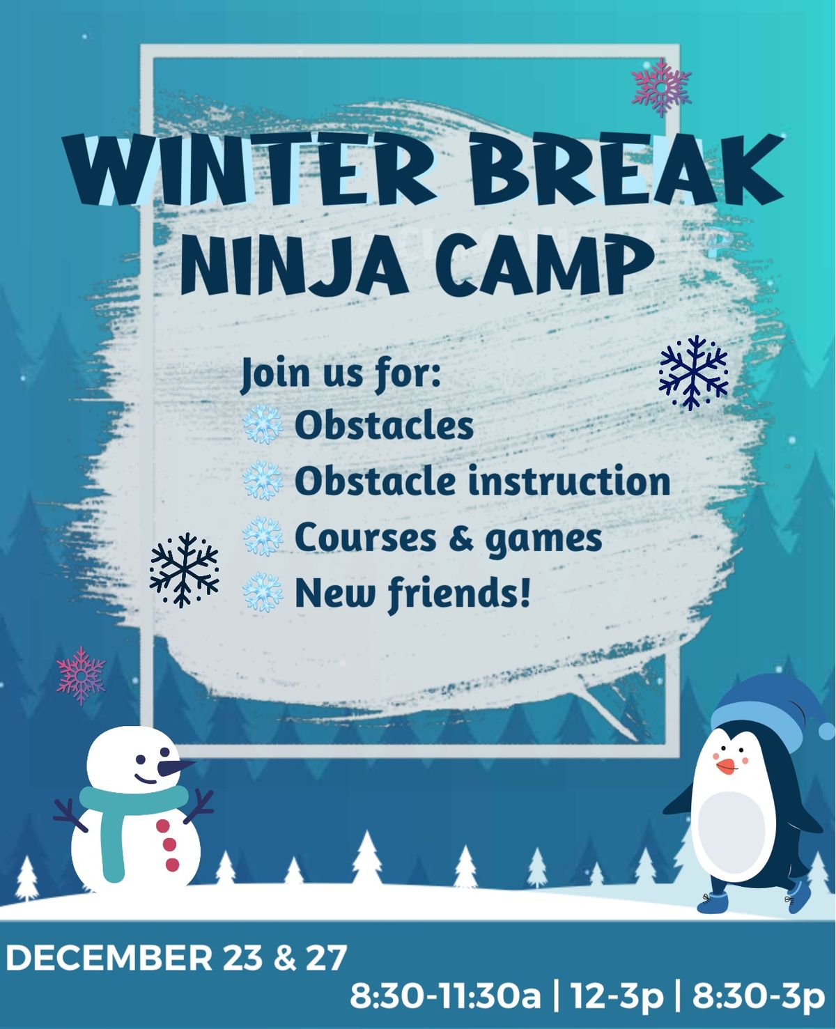 Winter Break Ninja Camp