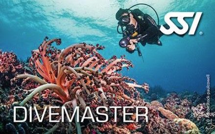 SSI Divemaster Course (May Session)