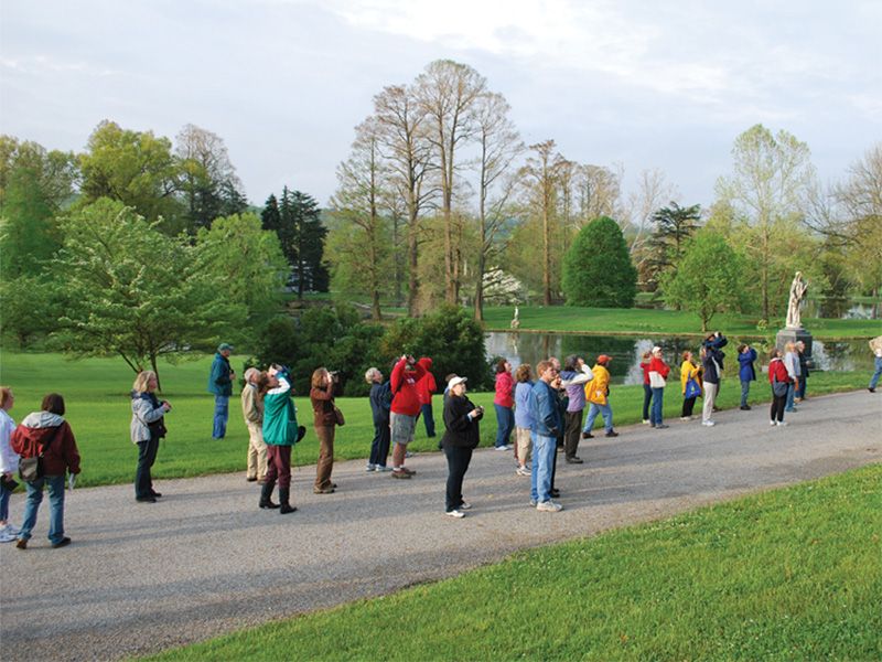 Early Morning Bird Walk 