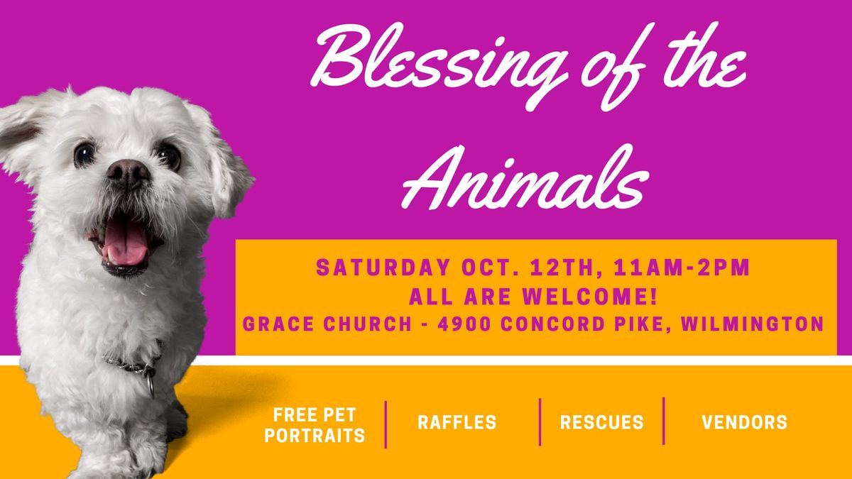 Blessing of the Animals