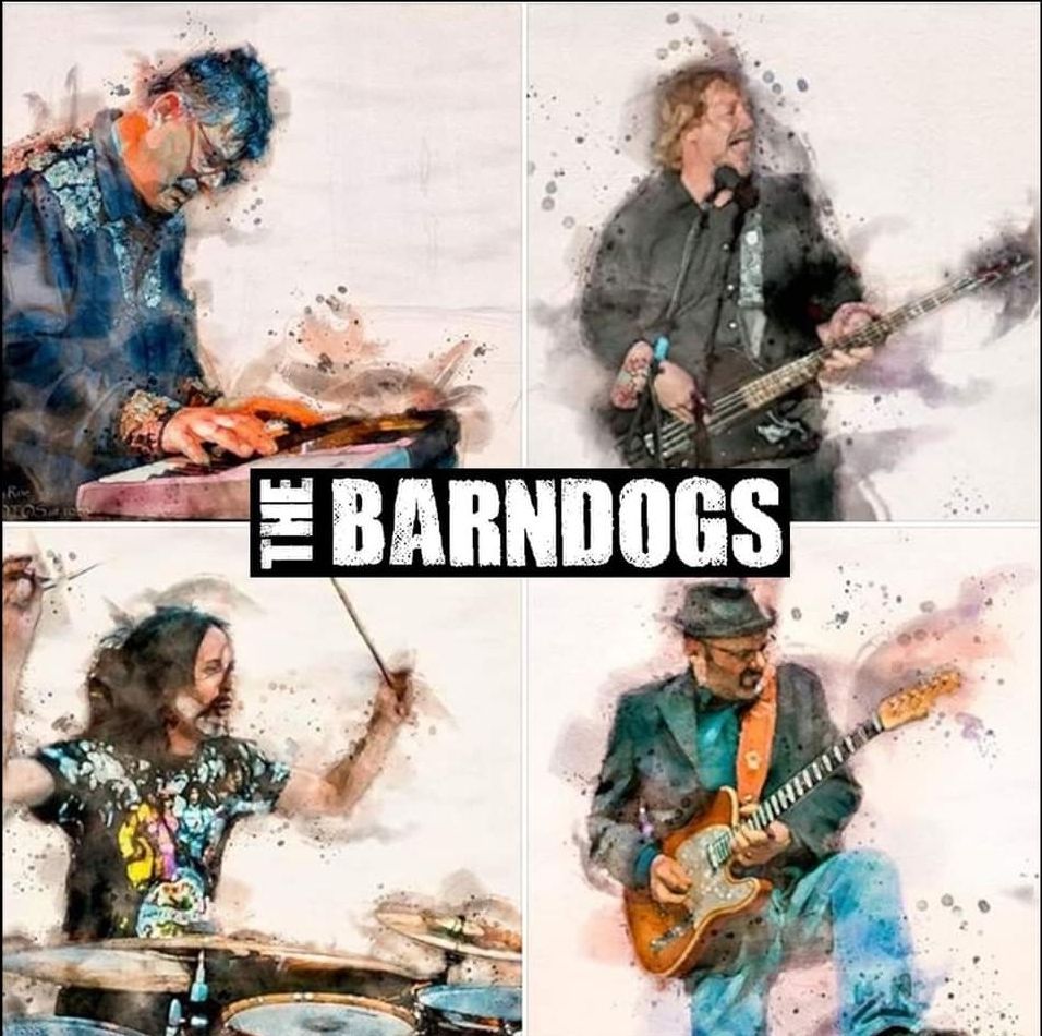 Barndogs