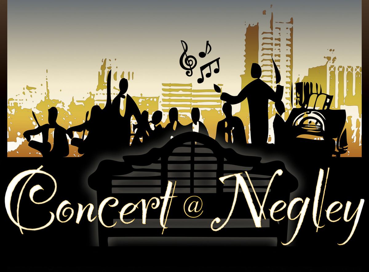 Concert @ Negley