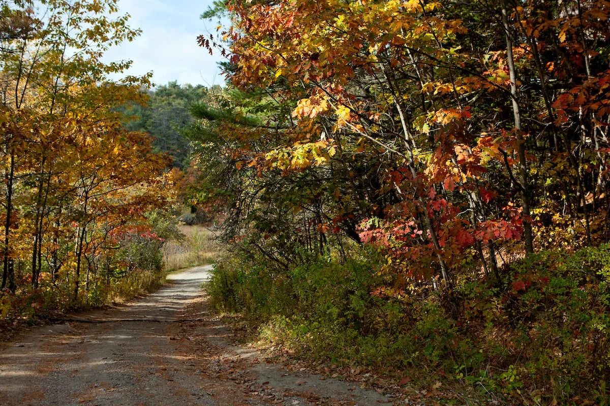 Mast Landing Trail Blazing Project in Freeport