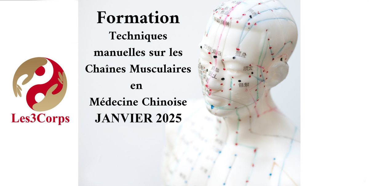 Techniques manuelles sur les chaines musculaires en MTC