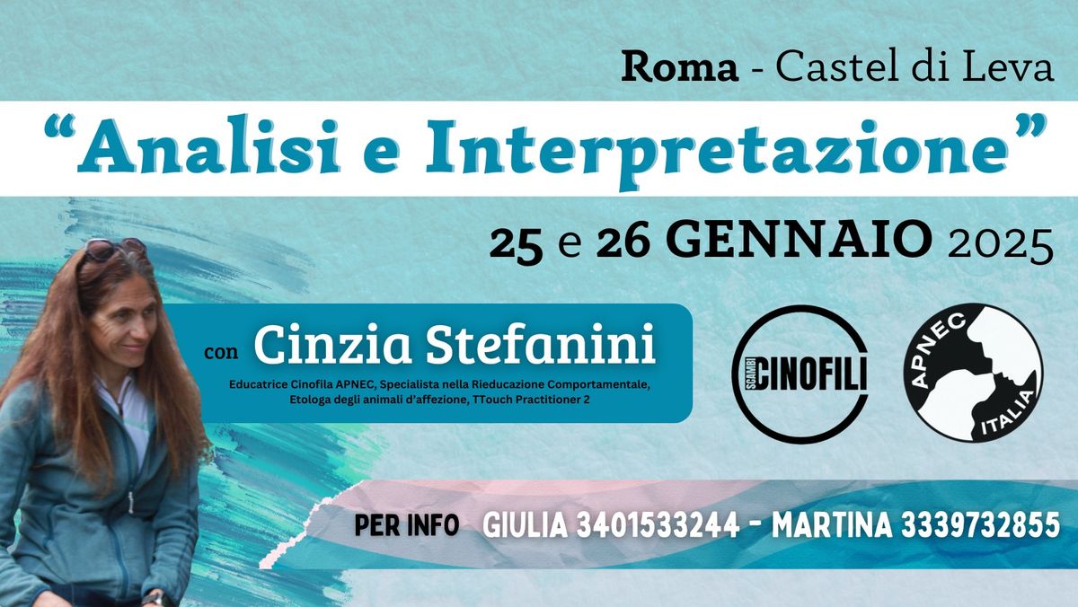 "Analisi e Interpretazione" con Cinzia Stefanini - Roma