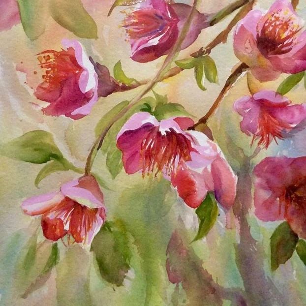 Watercolour Fundamentals & Beyond 2025 with Robin Hicks