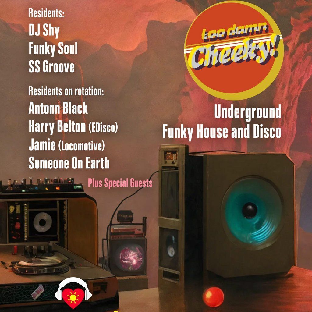 TOO DAMN CHEEKY @ Sunrooms