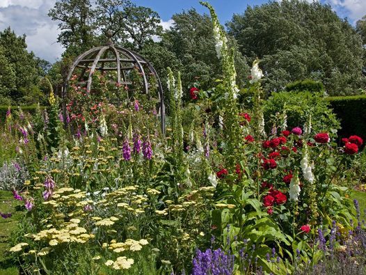 Rare Plant Fair - Waterperry Gardens