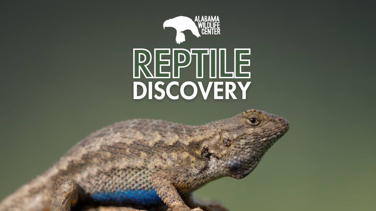 Reptile Discovery
