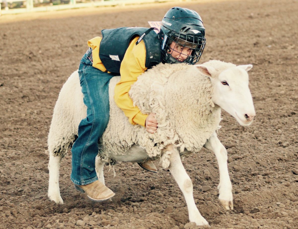 Mutton Bustin' Blow Out