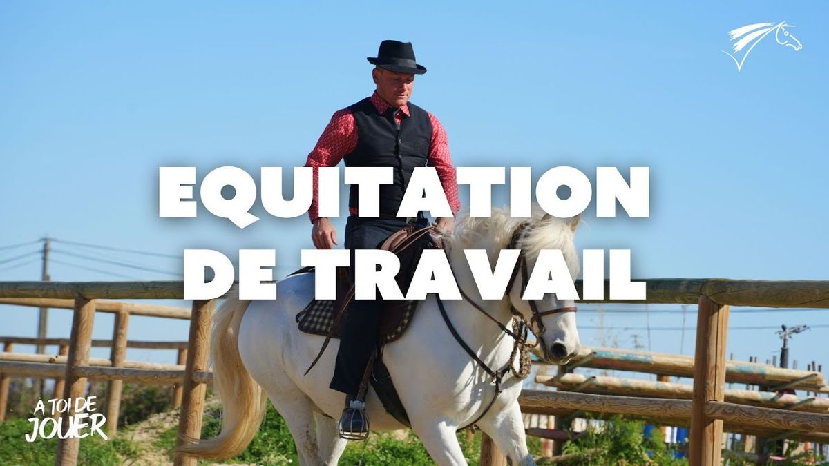 Stage d'initiation Equitation de travail