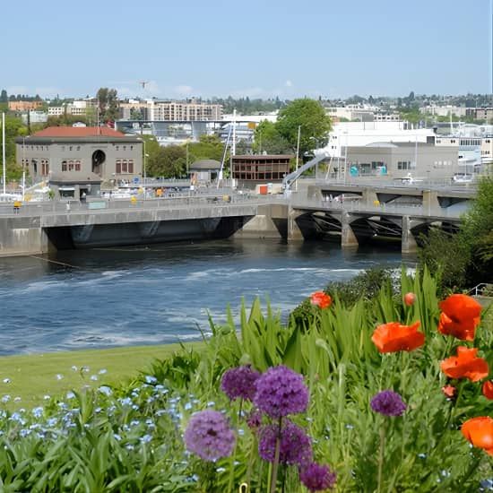 Premier 3-Hour Seattle City Tour