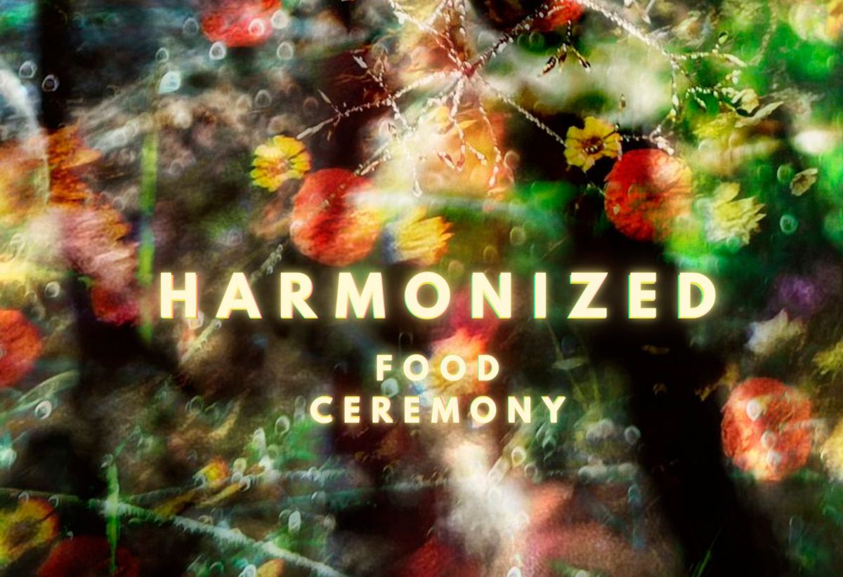 HARMONIZED Dinner Experience Series Helsinki 2024