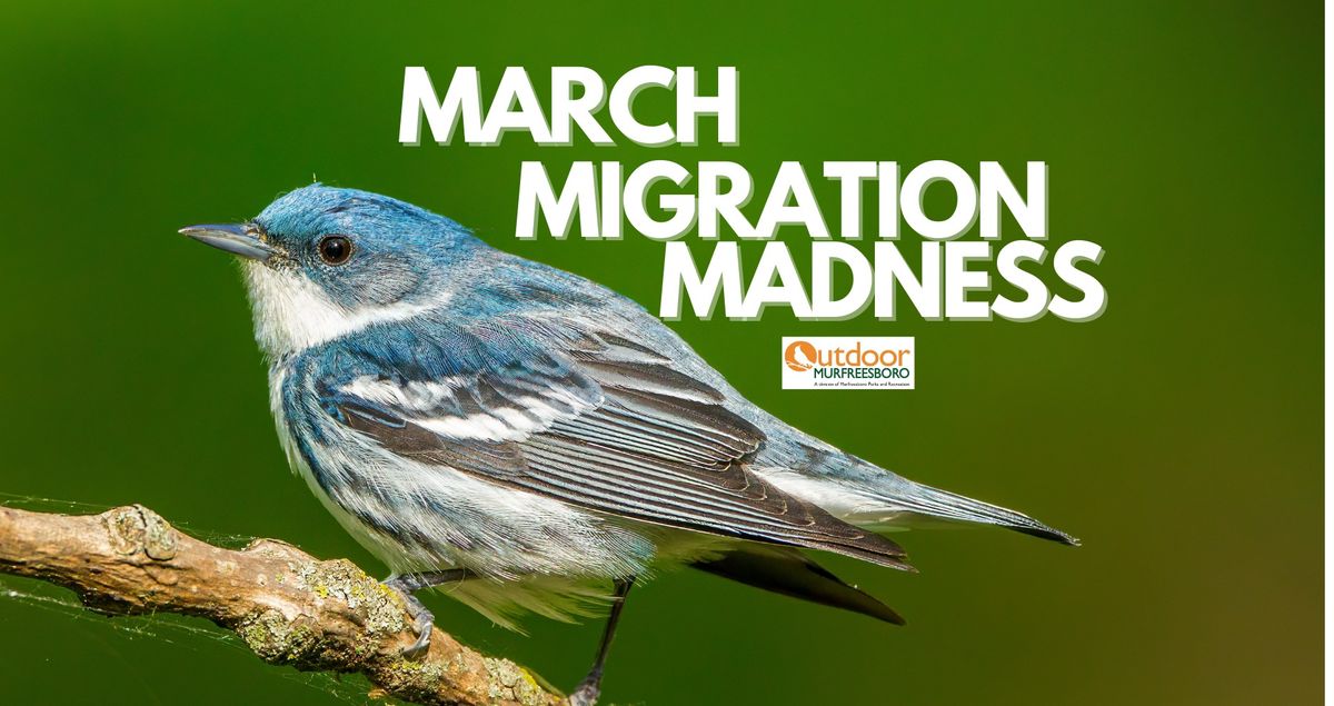 March Migration Madness