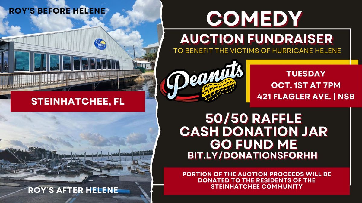 HURRICANE HELENE FUNDRAISER AUCTION