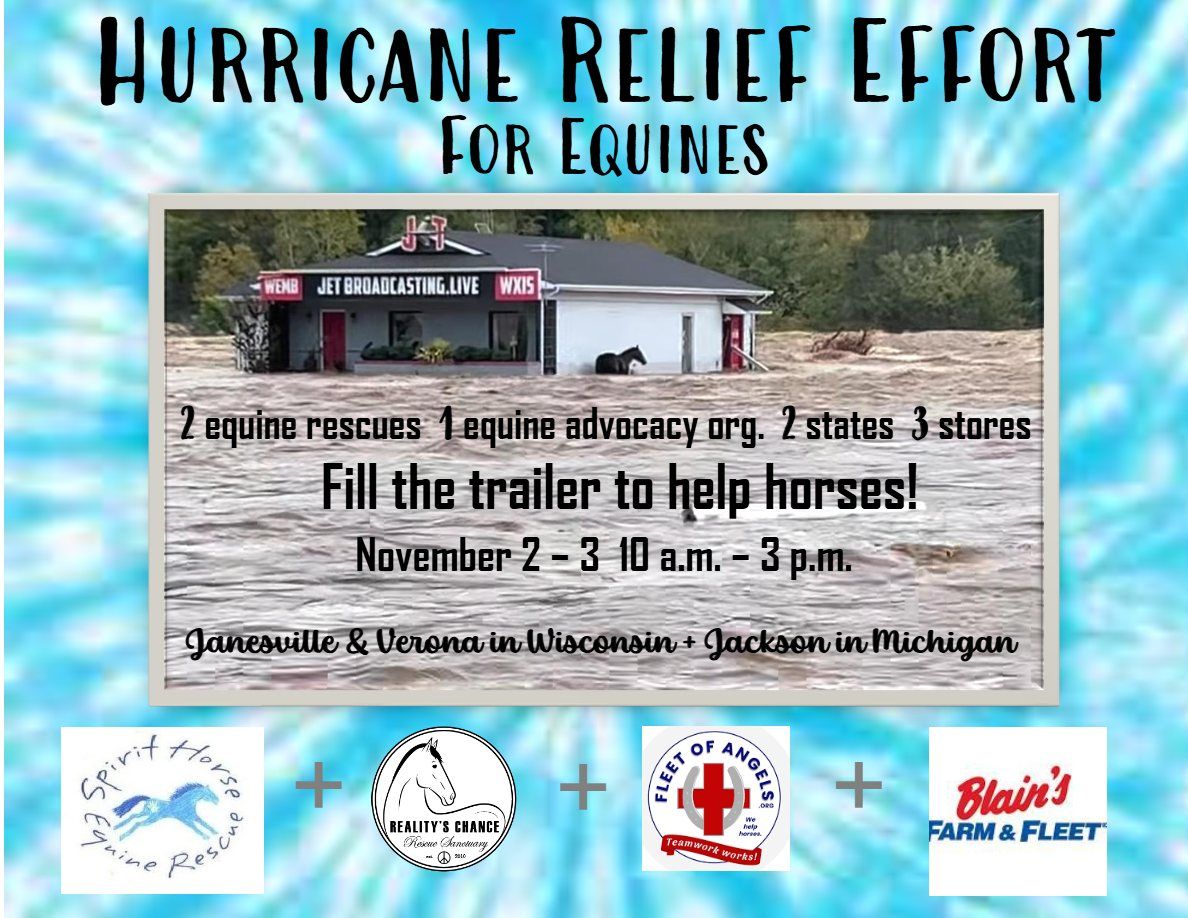 Hurricane Relief Effort for Equines