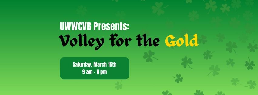 Volley for the Gold: A Fundraising Tournament