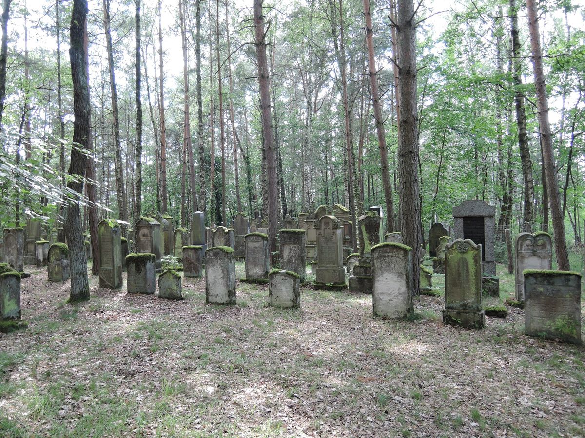 F\u00fchrung \u00fcber den j\u00fcdischen Friedhof in Zeckern 