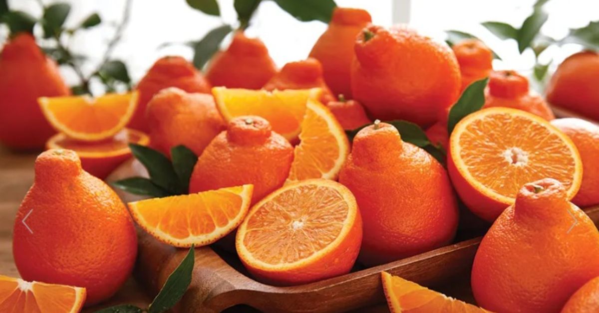 Florida Citrus Sales Event - Owensboro, KY