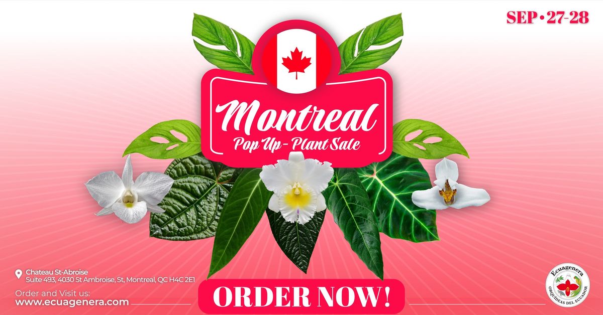 Montreal Pop Up - Plant Sale 