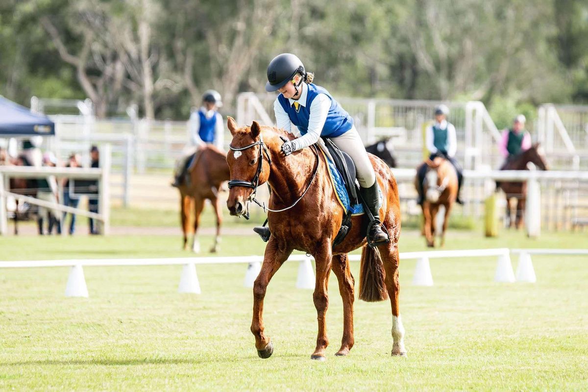 Maroochy PC - Official and Unofficial Dressage Competition - 2nd March 2025