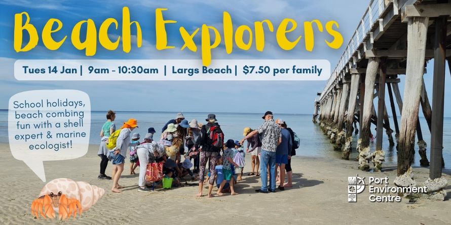 Beach Explorers - Summer School Holidays