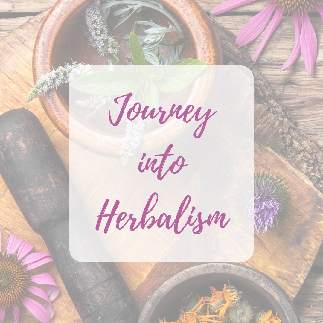 Journey into Herbalism