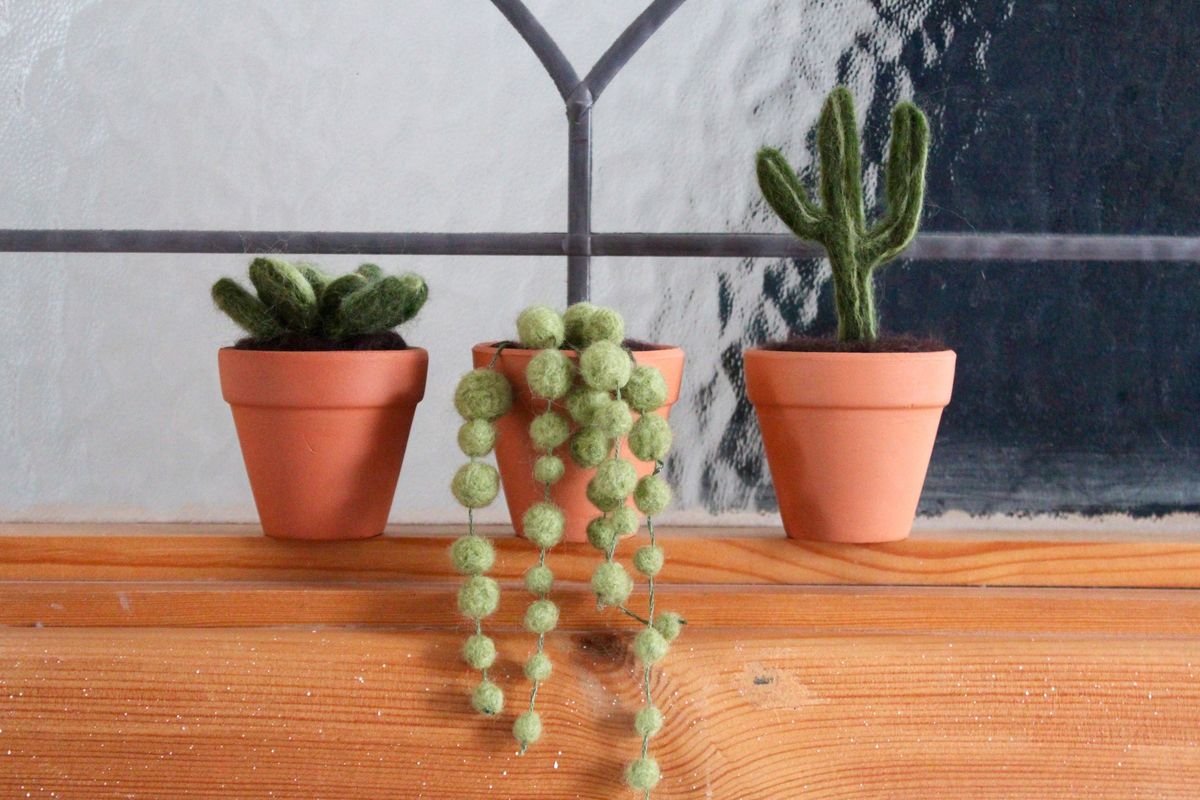 Needle Felted Succulents