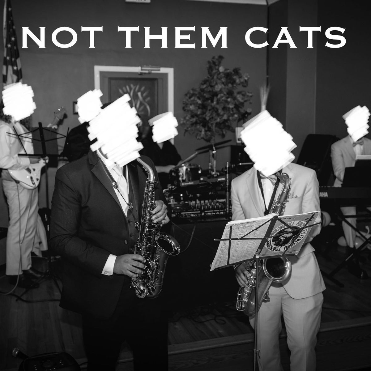 Not Them Cats