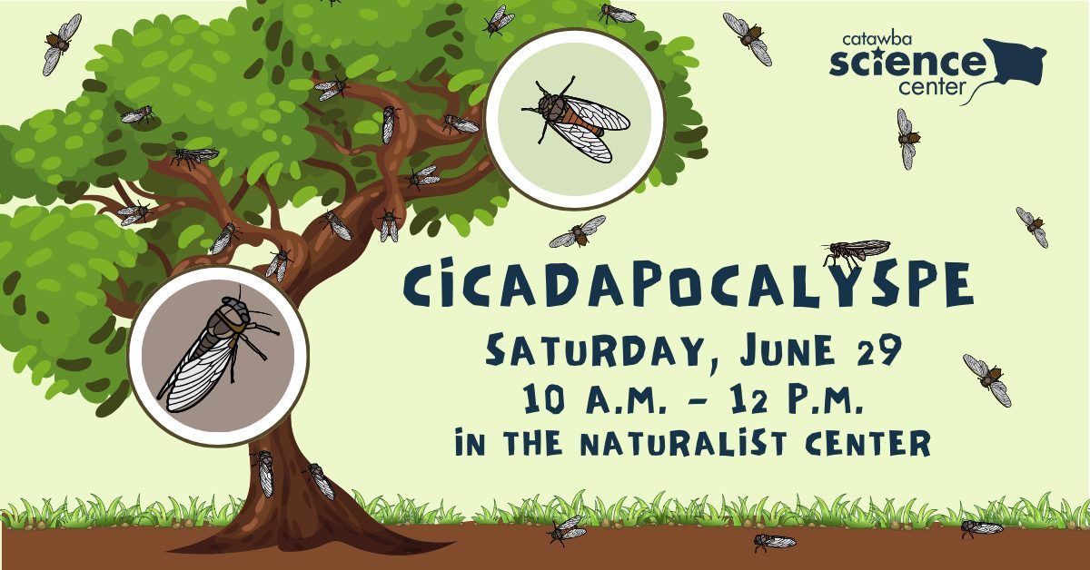 Naturalist Program: Cicadapocalypse