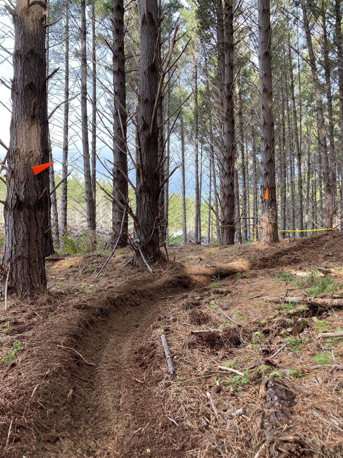 Tyre Block Trail Ride 