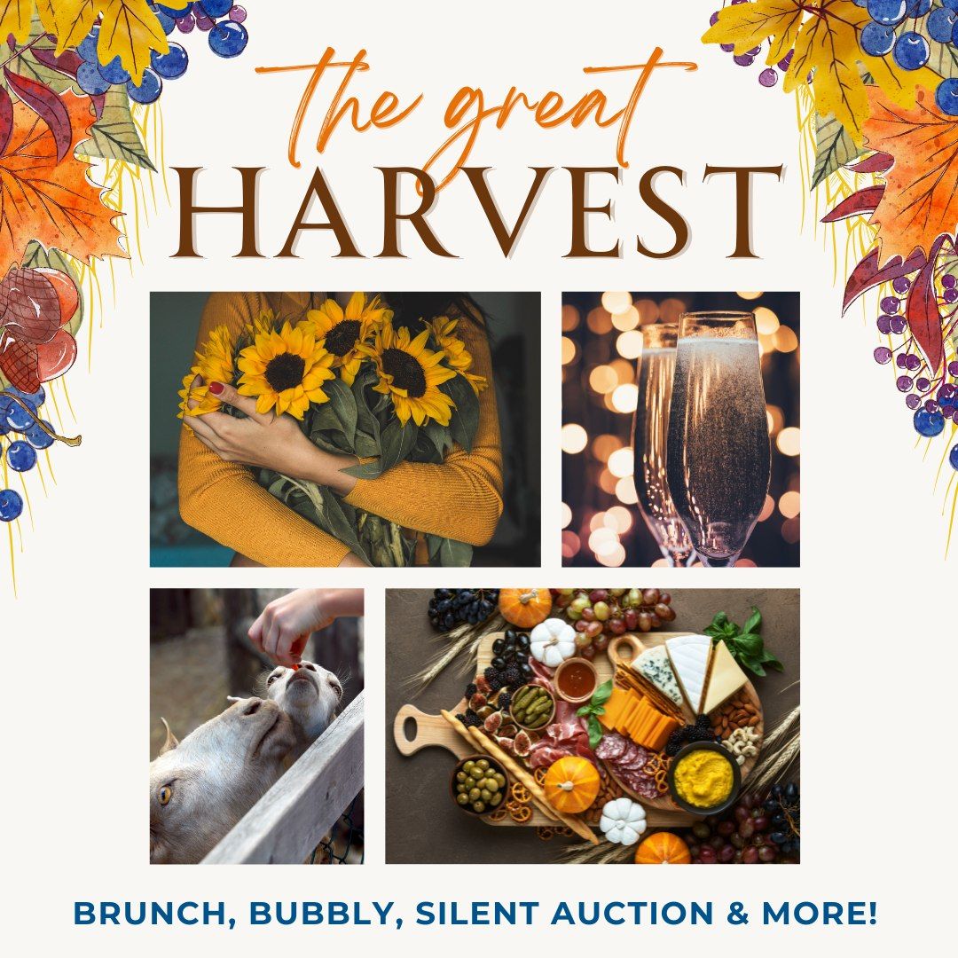 The Great Harvest