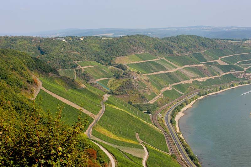 Gef\u00fchrte Weinwanderung zur Mandelsteinh\u00fctte