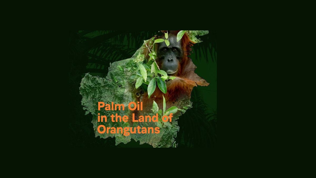 2025 Environmental Film Series - February Film - Palm Oil in the Land of Orangutans