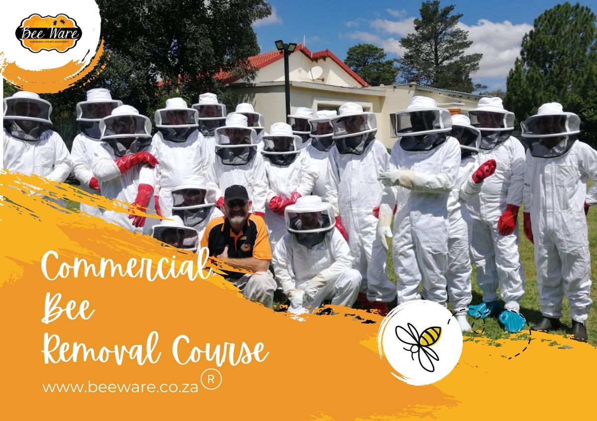 Commercial Bee Removal Course