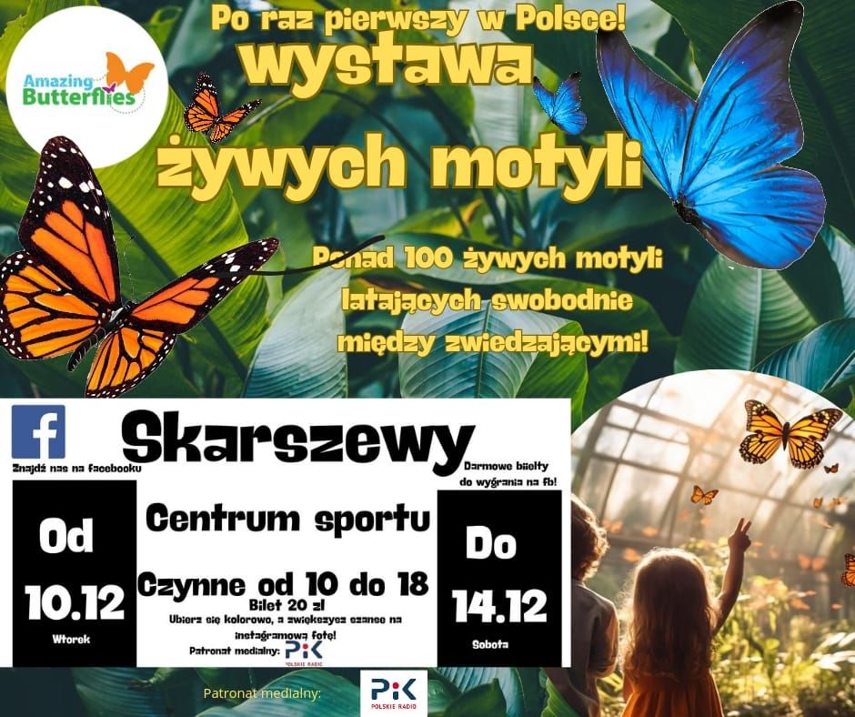 wystawa \u017bYWYCH motyli w Skarszewach!