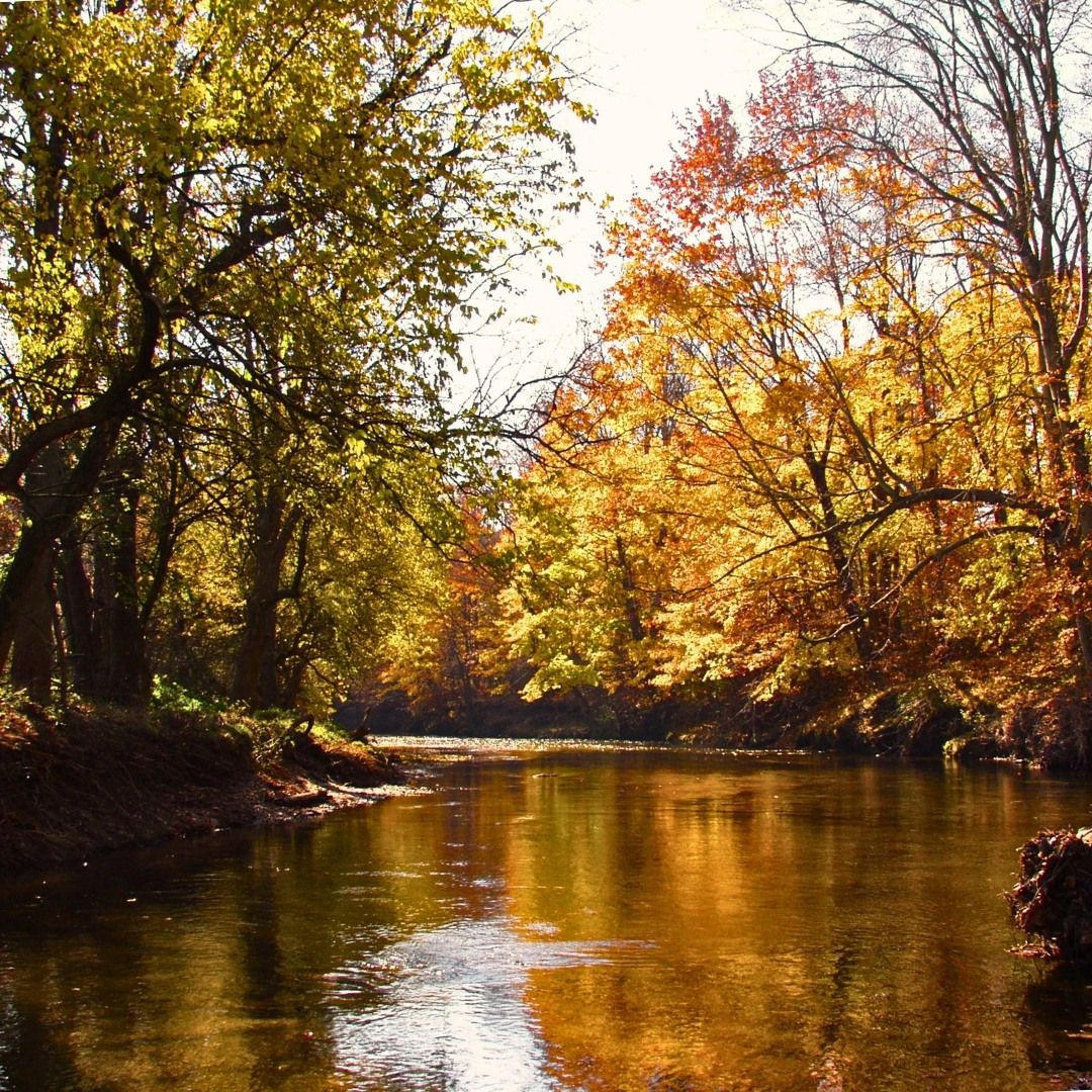 White Clay Creek 40th Anniversary of the Bi-State Preserve