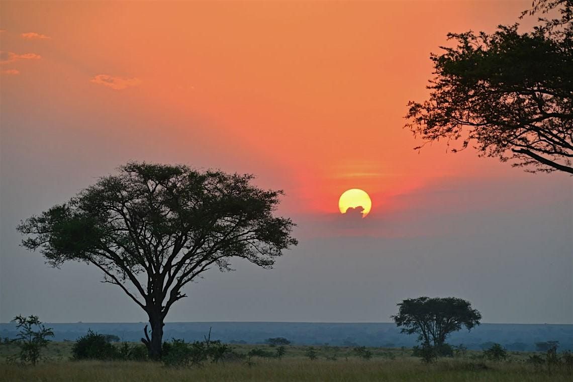 Africa Dream Talk: From Safari to Gorilla Trekking \u2014 Discover the Magic