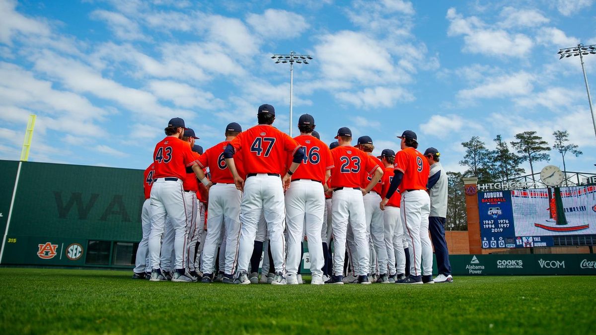 Alabama State  Hornets at Auburn Tigers Baseball