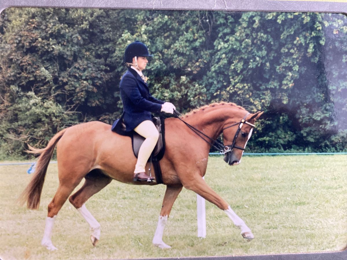 NFPEC & FE OPEN DRESSAGE 