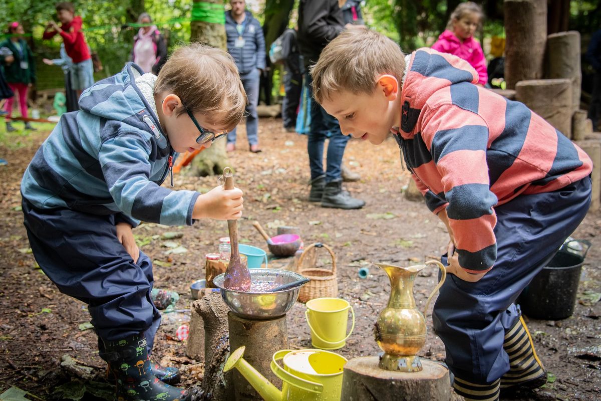 Forest Open Morning