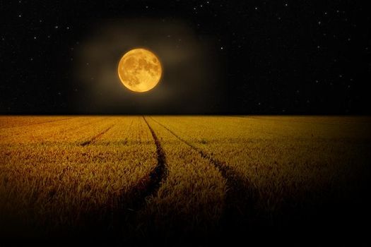 Harvest Full Moon  Sound Meditation