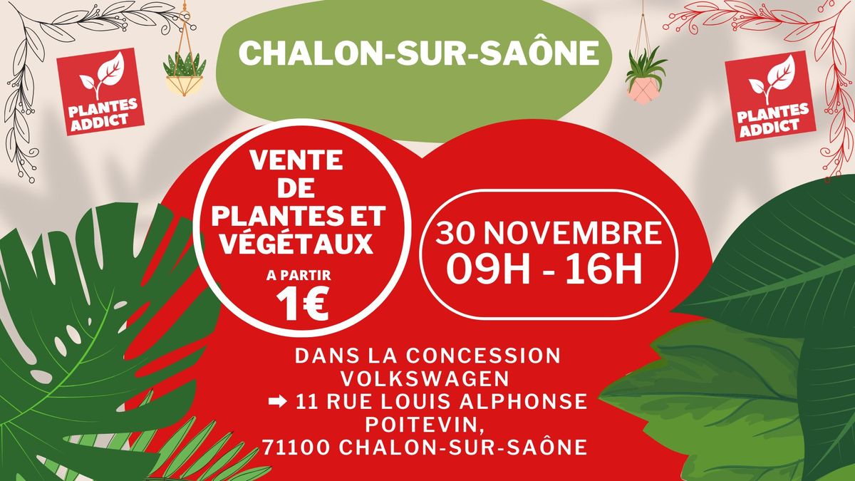 CHALON-SUR-SA\u00d4NE - V\u00e9g\u00e9taux et Plantes \u00e0 partir de 1\u20ac by Plantes Addict