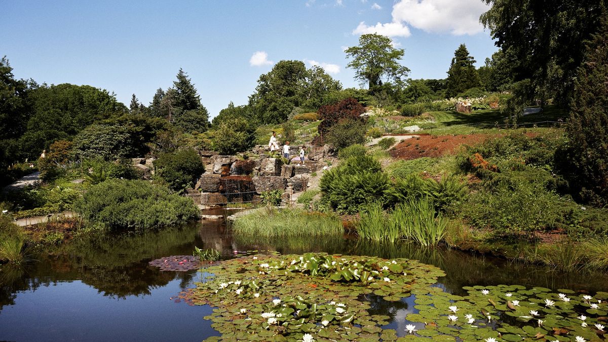 Free guided tour of the Botanical Garden