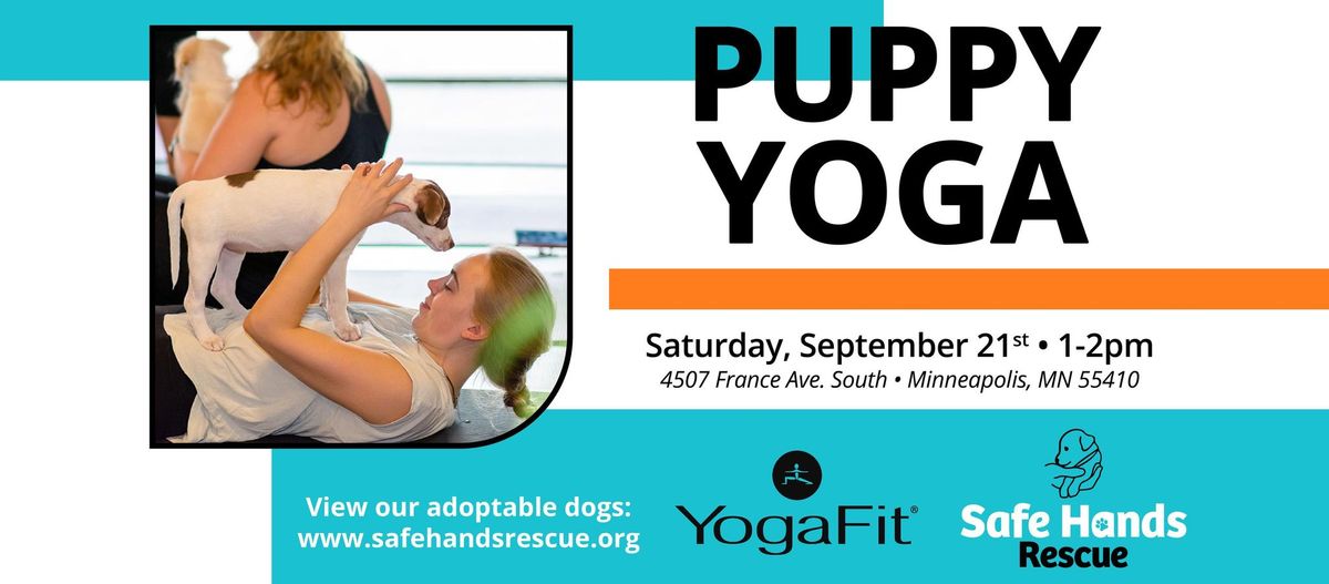 Puppy Yoga at YogaFit (Linden Hills)