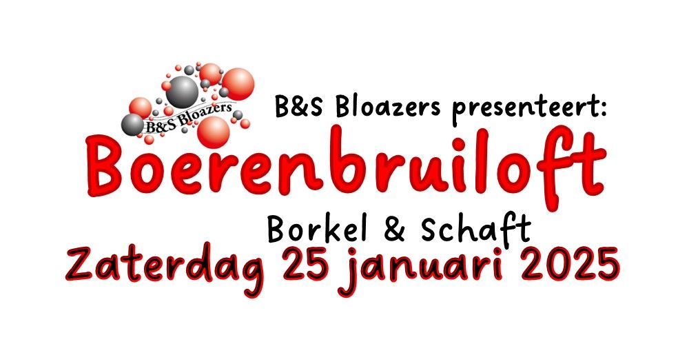 Boerenbruiloft Borkel en Schaft 2025